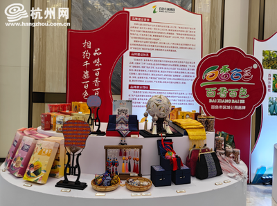 共谋发展愿景 东盟产业合作区百色片区座谈会在杭州擘画实业投资新蓝图
